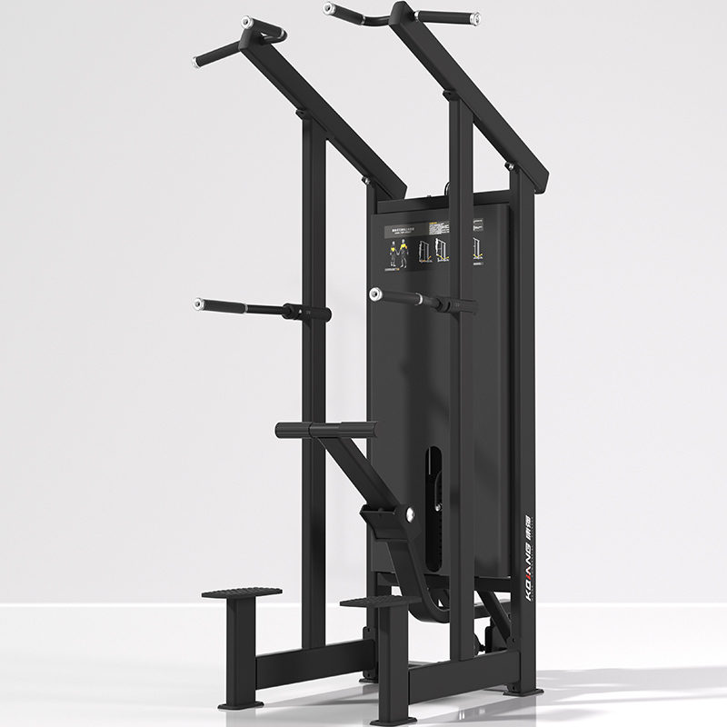 好博辅助单双杠训练器7019室内专业力量专项运动健身器材